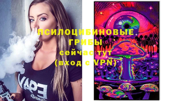 ПСИЛОЦИБИНОВЫЕ ГРИБЫ Алексин