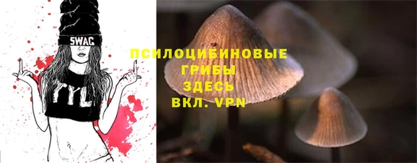 ПСИЛОЦИБИНОВЫЕ ГРИБЫ Алексин