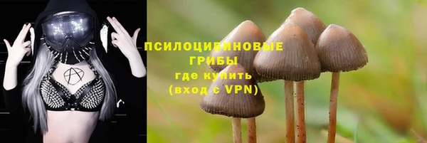 ПСИЛОЦИБИНОВЫЕ ГРИБЫ Алексин