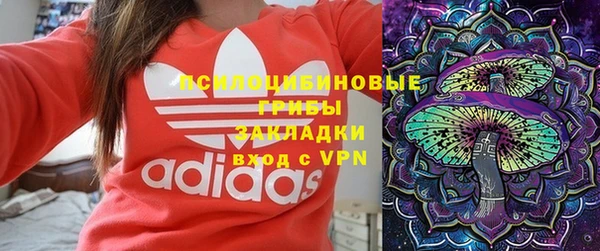 ПСИЛОЦИБИНОВЫЕ ГРИБЫ Алексин