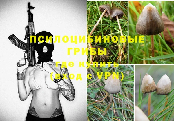 ПСИЛОЦИБИНОВЫЕ ГРИБЫ Алексин
