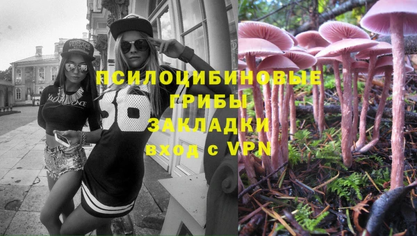 метамфетамин Алексеевка
