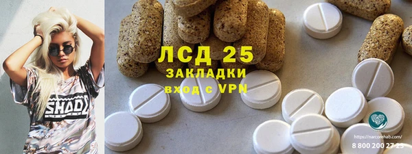 винт Алзамай