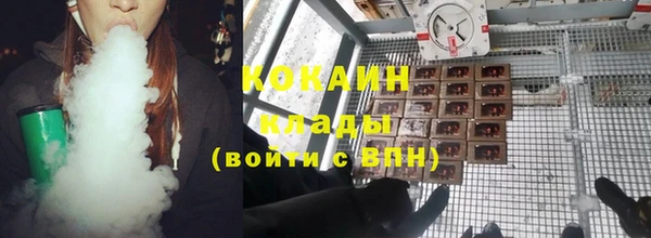 ПСИЛОЦИБИНОВЫЕ ГРИБЫ Алексин