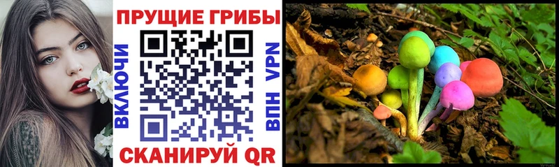 как найти закладки  Дудинка  Галлюциногенные грибы Magic Shrooms 